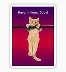 Pegatina Hang In There Baby Kitten