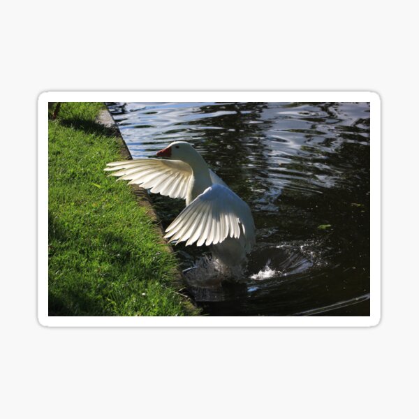 Goose launch Sticker