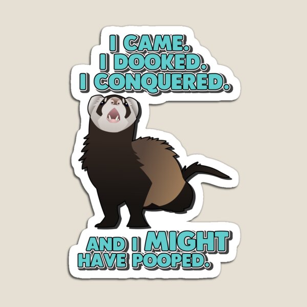 Ferrets Gifts & Merchandise for Sale | Redbubble