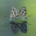 «Mariposas» de The Barefooted  Bohemian Fine Art Photography