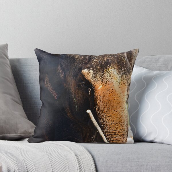 Item preview, Teacher designed and sold by miroslava.