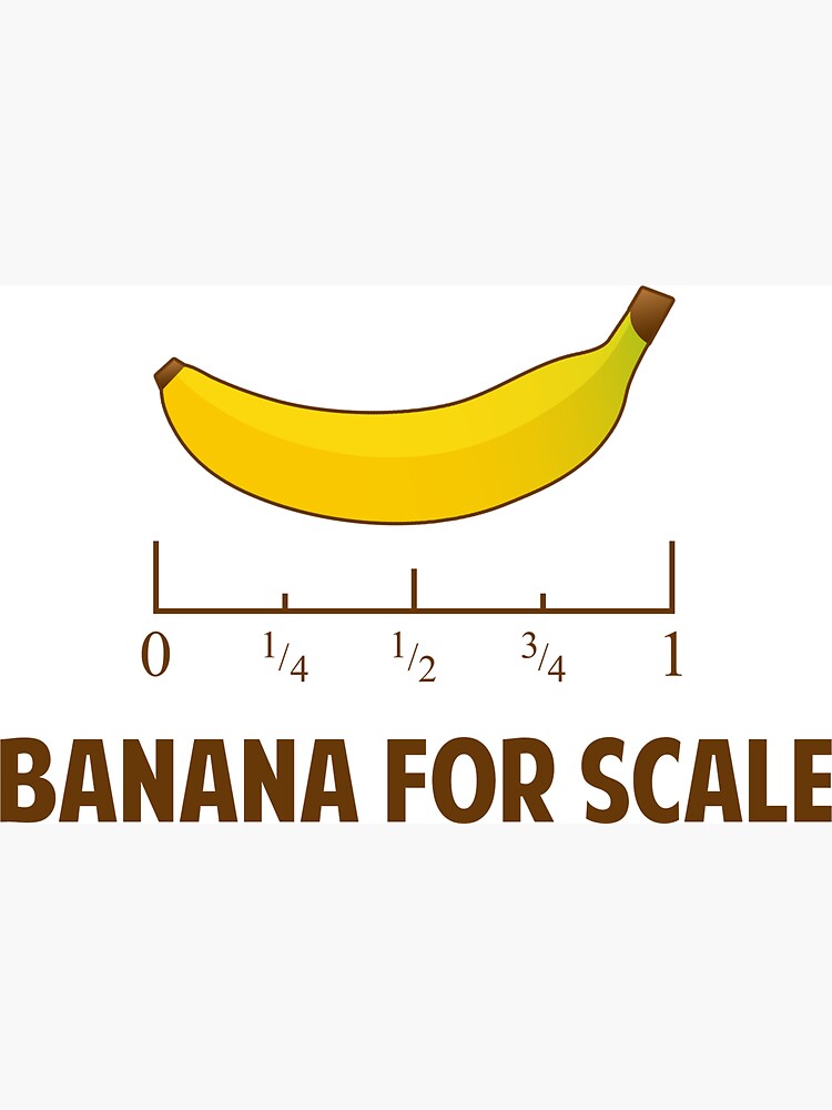 Banana for Scale Ruler Magnet 