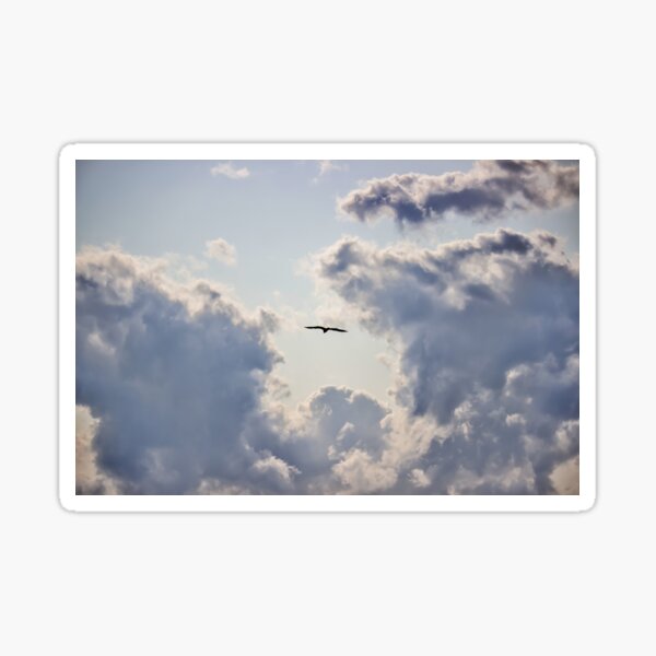 Item preview, In Flight designed and sold by sangelrickard.