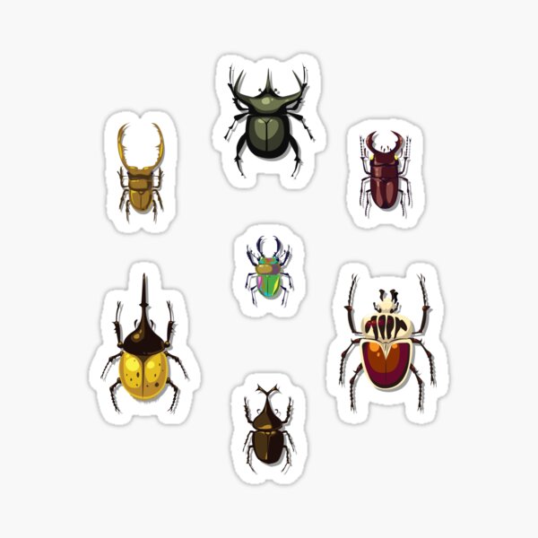 Beetle Stickers for Sale
