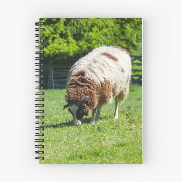 Item preview, Jacob Sheep Grazing designed and sold by lmaiphotography.