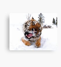 Siberian Tiger Leinwanddruck