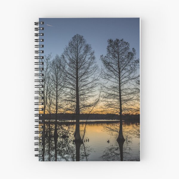 Item preview, Cypress Silhouette designed and sold by Sherry Smith.