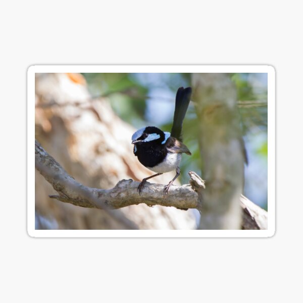 Superb Sticker