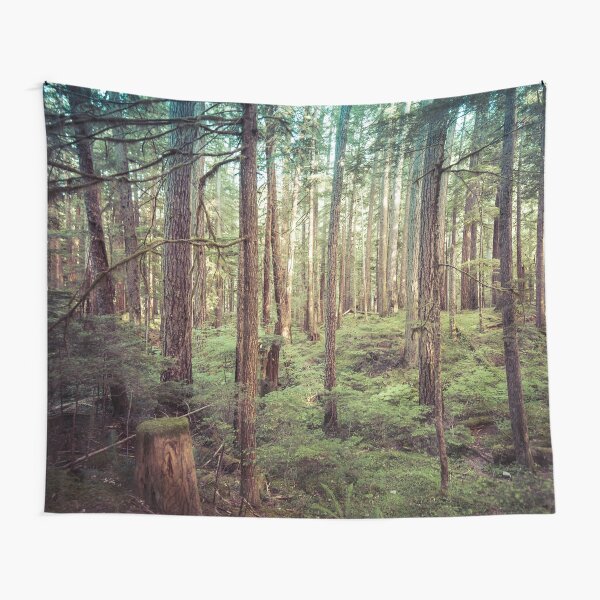 Forest Trees - Tree Woods Green Nature Outdoor Adventure Tapestry