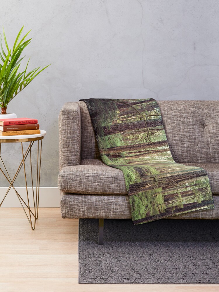 tree blankets outdoor