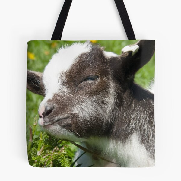 Item preview, Baby Bagot Goat designed and sold by lmaiphotography.