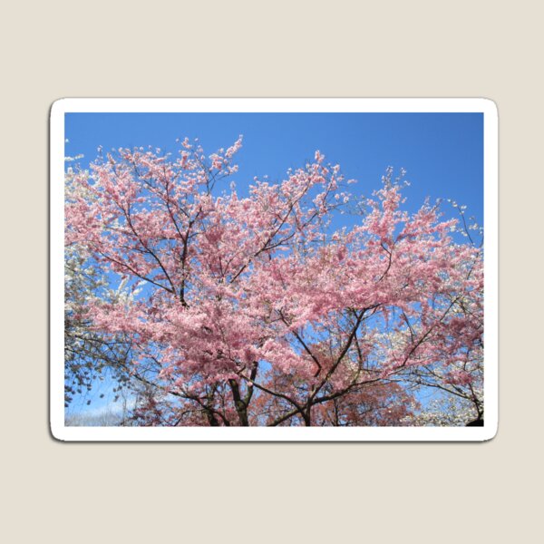 Item preview, Pink Blossoms  designed and sold by sramirez89.