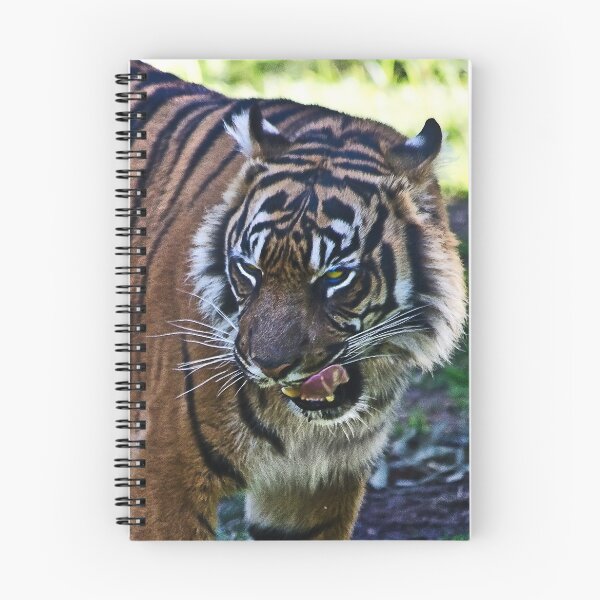 Item preview, Hungry Tiger designed and sold by miroslava.