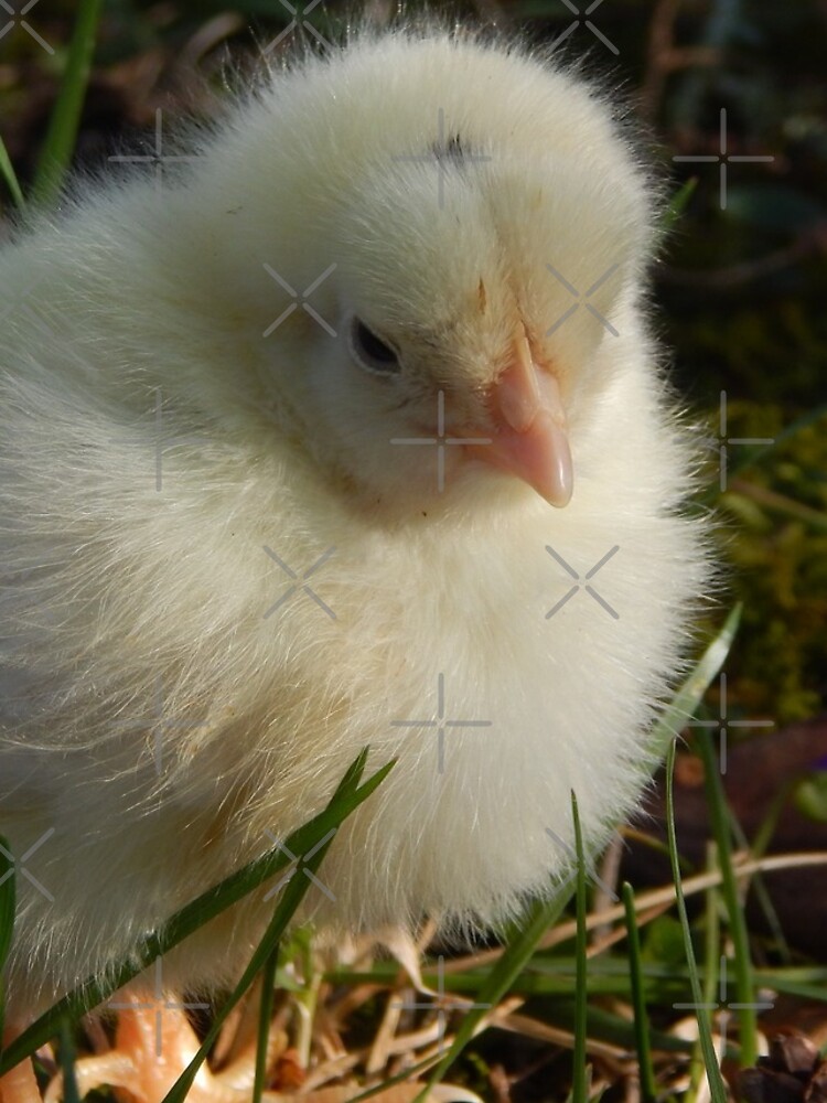 Thumbnail 4 of 4, iPhone Case, Spring Chick designed and sold by TrapperWeasel.