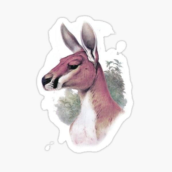 Item preview, Red kangaroo portrait designed and sold by marmur.