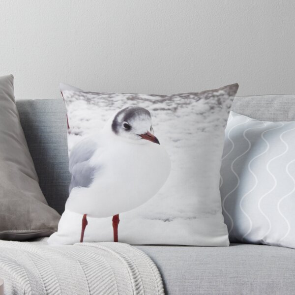 Item preview, Black-headed Gull in Snow designed and sold by lmaiphotography.