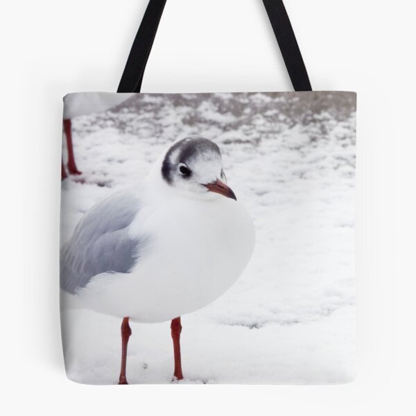 Item preview, Black-headed Gull in Snow designed and sold by lmaiphotography.