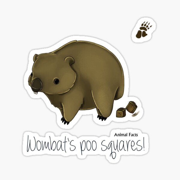 Vista previa del artículo con la obra «Datos de animales Australia - Wombat», diseñado y vendido por MiMoCreative.