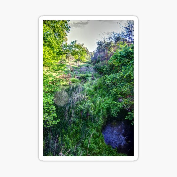 Item preview, Bendigo Creek designed and sold by shaynetwright.