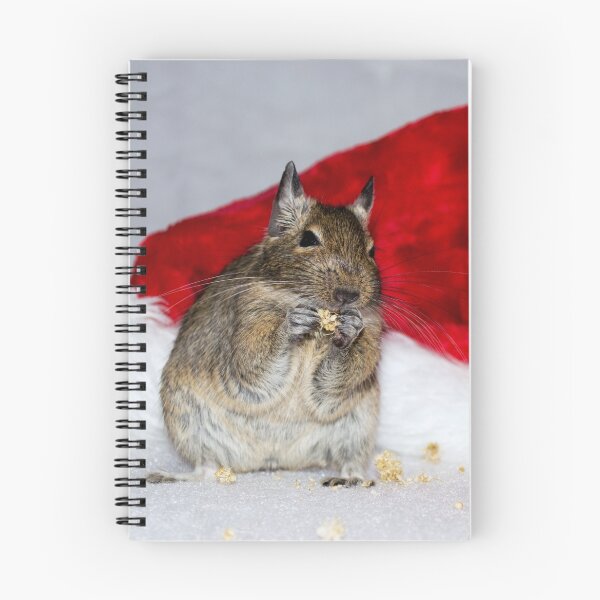 Item preview, Degu Claus designed and sold by lmaiphotography.
