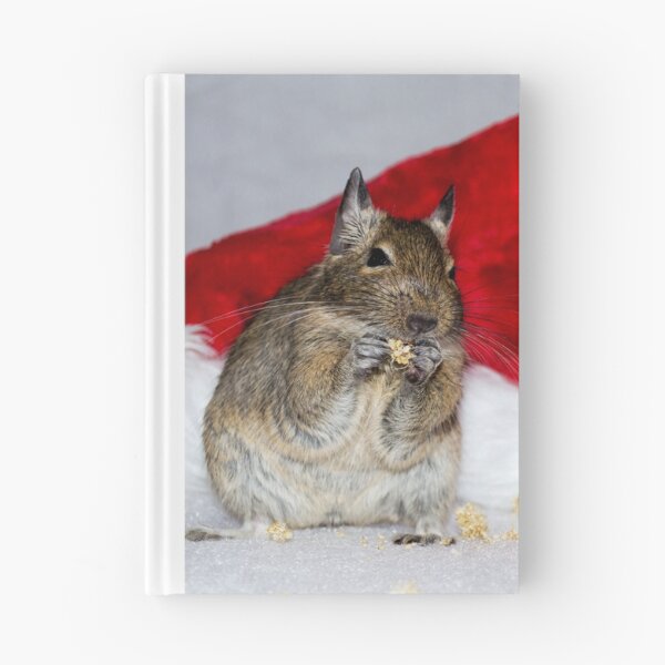 Item preview, Degu Claus designed and sold by lmaiphotography.