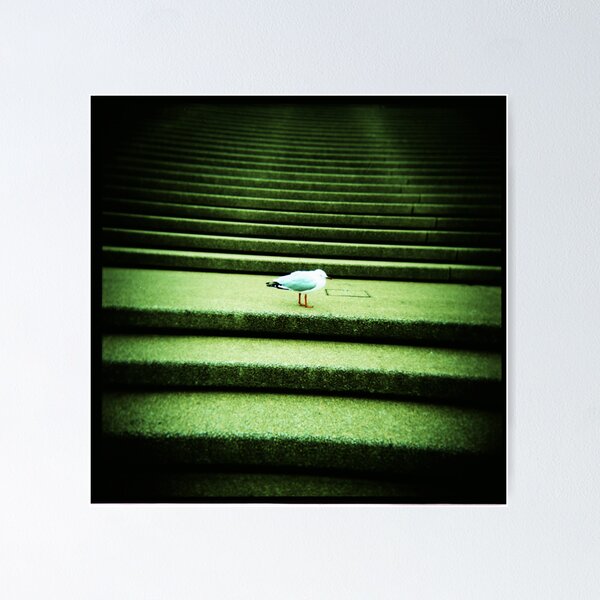 Item preview, Opera House Steps designed and sold by mewalsh.