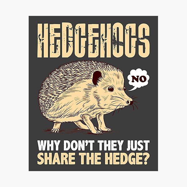 Item preview, Hedgehogs Why Don't They Just Share The Hedge Graphic designed and sold by inspiredtrend.