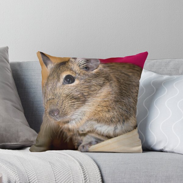 Item preview, Degu designed and sold by lmaiphotography.