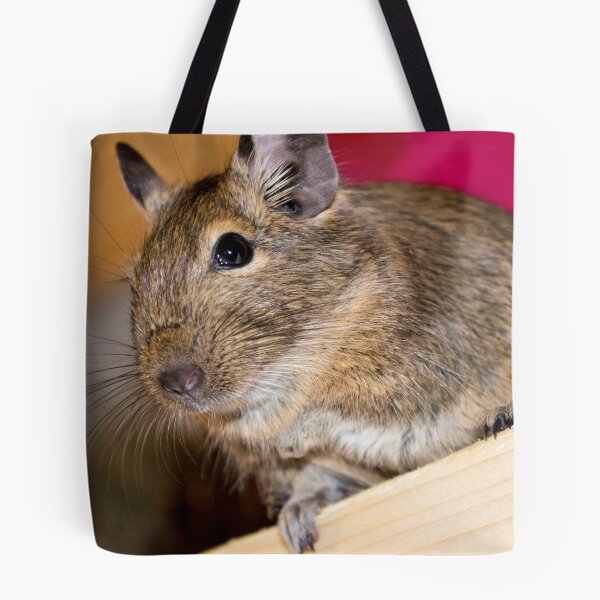 Item preview, Degu designed and sold by lmaiphotography.