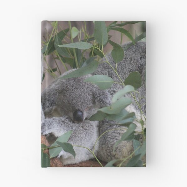 Item preview, Sleepy Koalas at Australia Zoo designed and sold by amico97.