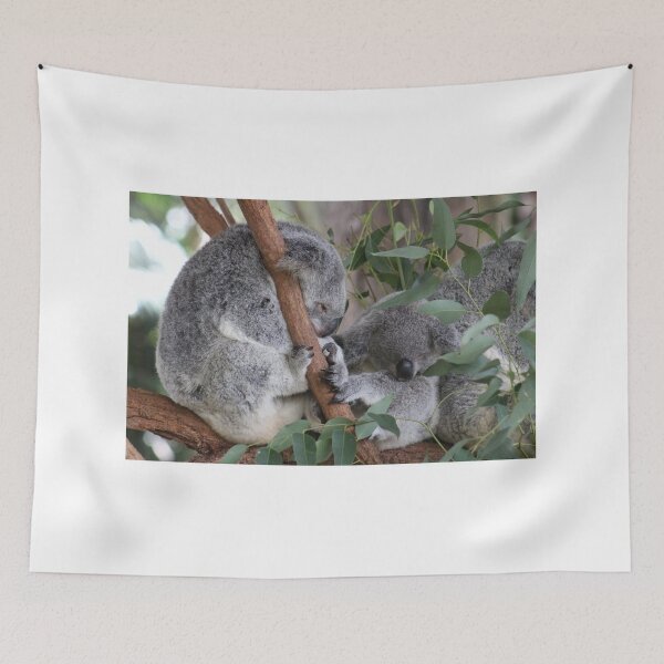 Item preview, Sleepy Koalas at Australia Zoo designed and sold by amico97.