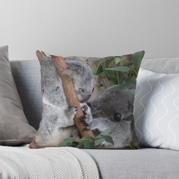Item preview, Sleepy Koalas at Australia Zoo designed and sold by amico97.