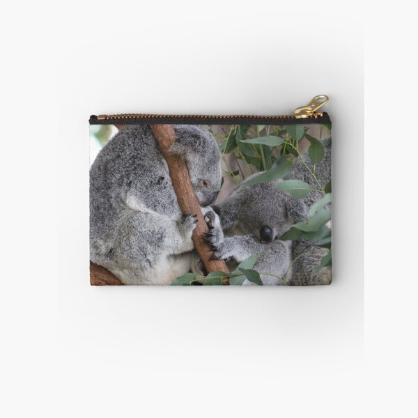 Item preview, Sleepy Koalas at Australia Zoo designed and sold by amico97.
