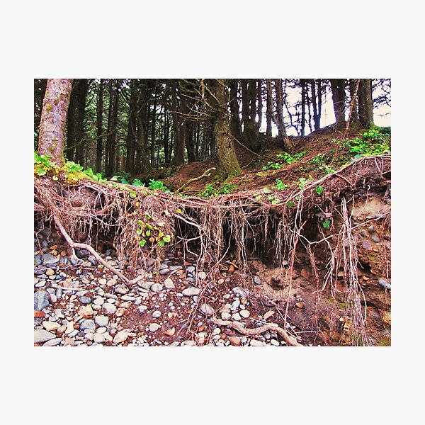 Item preview, Soil Erosion.....Neptune Beach....Yachats, Ore. designed and sold by Diane Arndt.