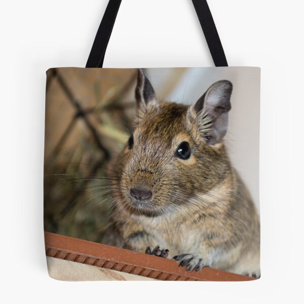 Item preview, Sitting Pretty designed and sold by lmaiphotography.