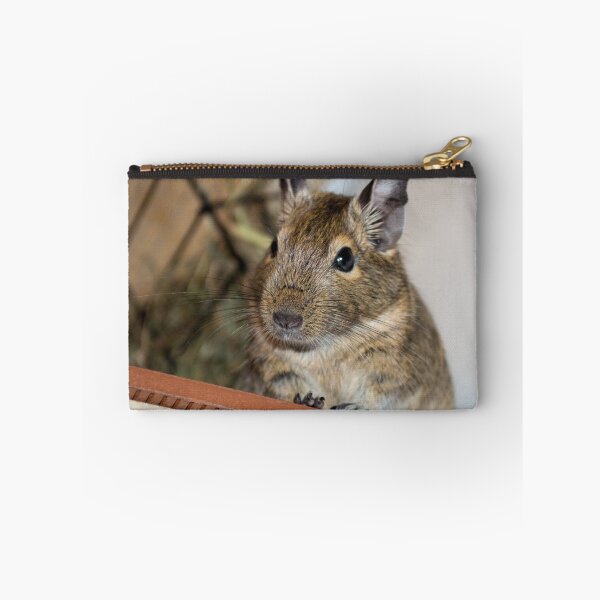 Item preview, Sitting Pretty designed and sold by lmaiphotography.