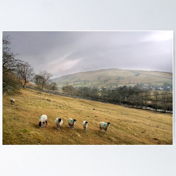 Item preview, Misty Day in the Yorkshire Dales, England designed and sold by ChristineJayne.