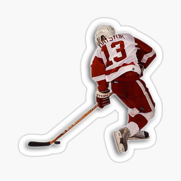 red wings winter classic logo  Sticker for Sale by Emma Dwoskin