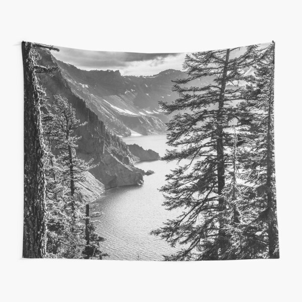 Black and best sale white mountain tapestry