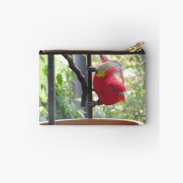 Item preview, Inquisitive Multi-Coloured Parrot designed and sold by mashupofme.