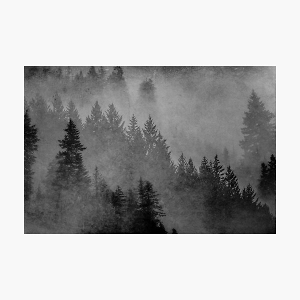 Item preview, Fog Forest - Black and White Charcoal Forest designed and sold by artcascadia.