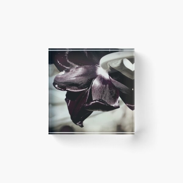 Item preview, Timeless Burgandy designed and sold by Lozzar Flowers & Art.