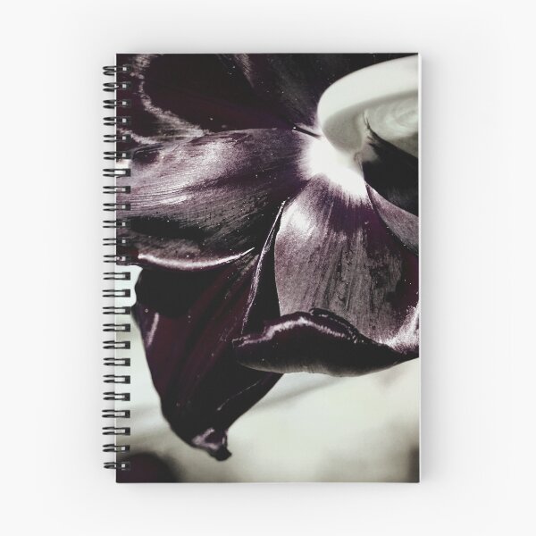 Item preview, Timeless Burgandy designed and sold by Lozzar Flowers & Art.