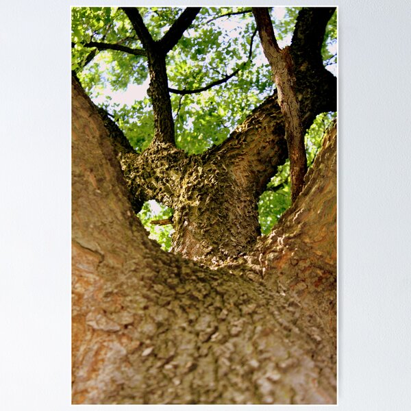Item preview, Climb up to the top designed and sold by George Tibbles.
