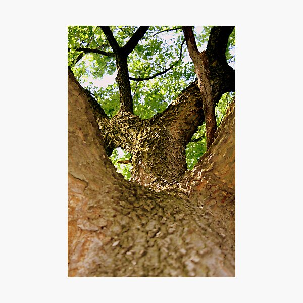 Item preview, Climb up to the top designed and sold by George Tibbles.