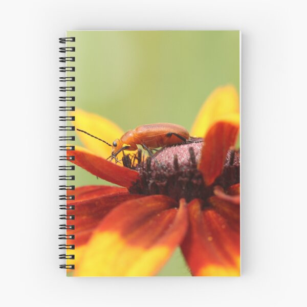 Item preview, Bug on Yellow Flower designed and sold by Gary Horner.
