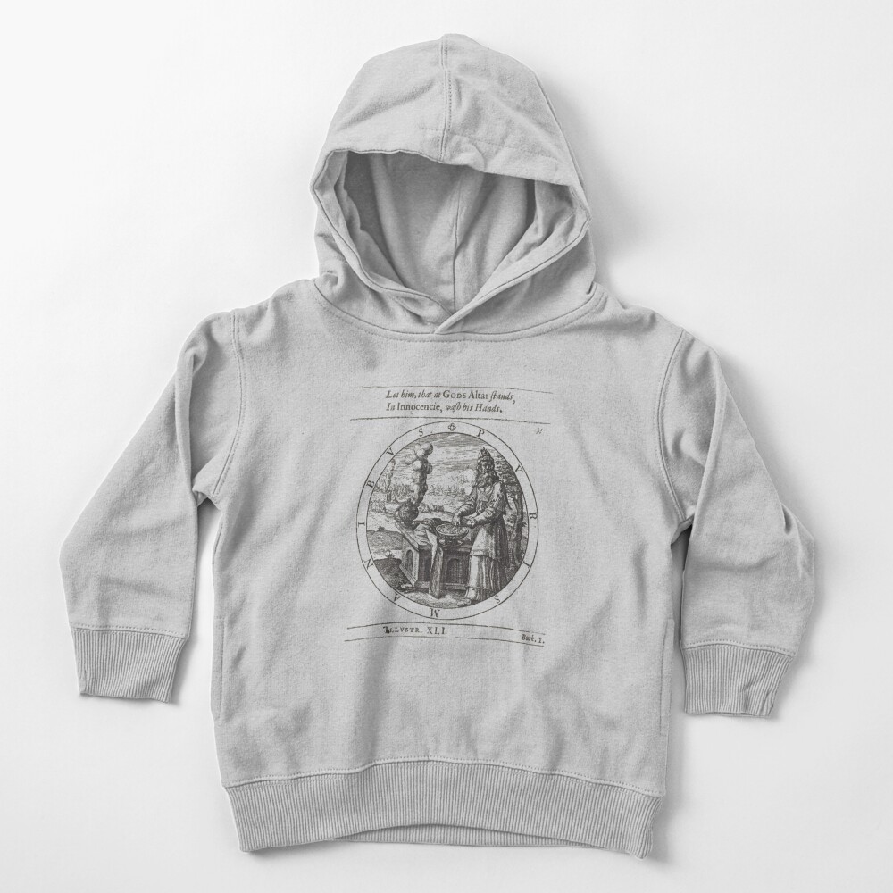 Alchimie Spirituelle,ssrco,toddler_hoodie,youth,heather_grey,flatlay_front,square,1000x1000-bg,f8f8f8