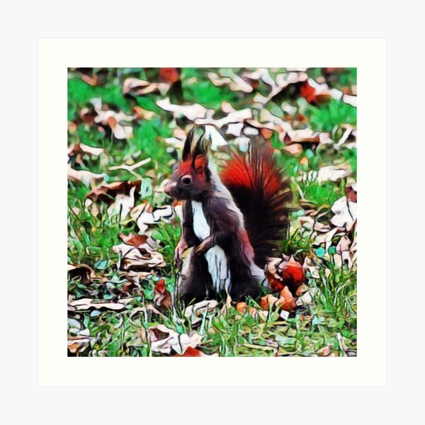 Squirrel Videos Art Prints Redbubble
