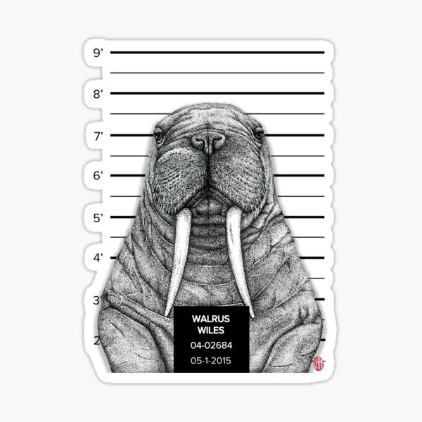 Walrus Wiles Sticker