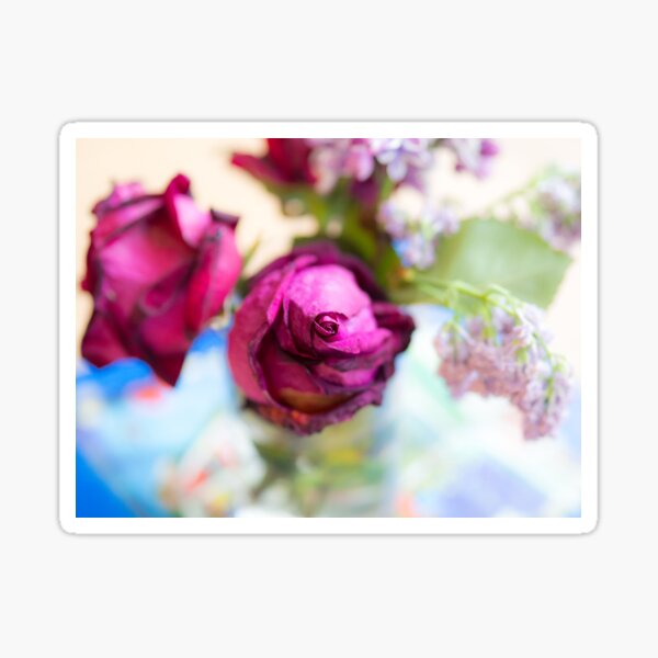 Centre of a Rose Sticker